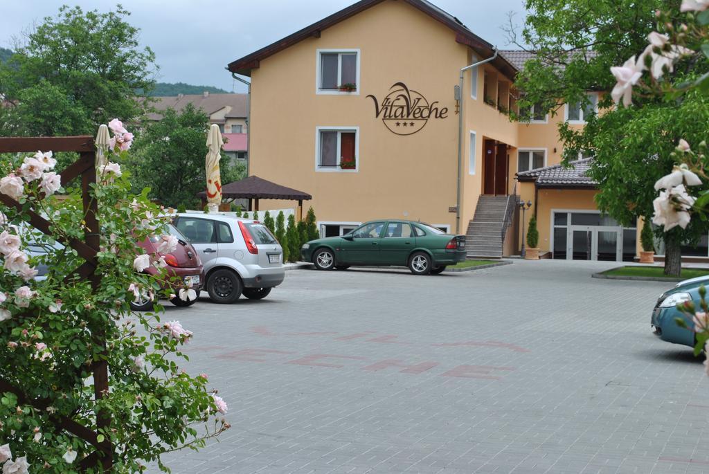 Vila Veche Hateg Exterior photo