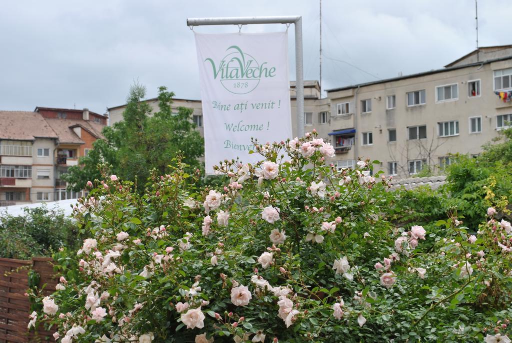 Vila Veche Hateg Exterior photo